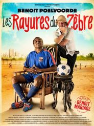 les-rayures-du-zebre