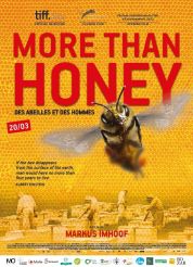 more-than-honey