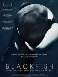 blackfish